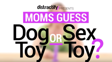 Dog Toy or Sex Toy