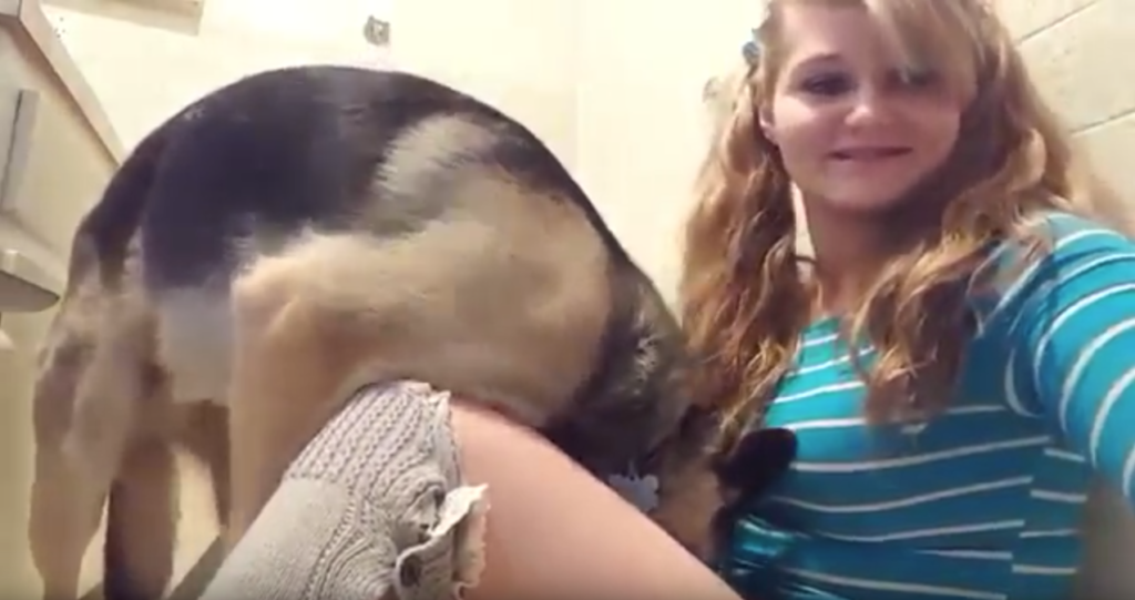 Video: Junge Frau erklärt, warum Frauen mit Hunden Sex haben sollten
