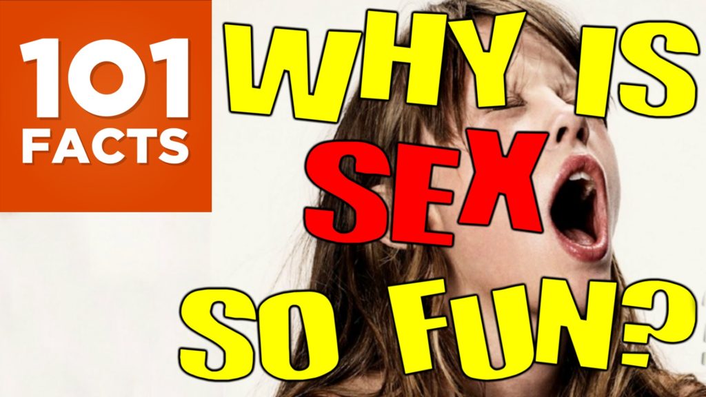 Warum macht Sex so viel Spaß