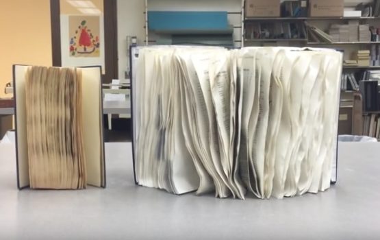 nasses Buch retten